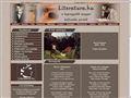 http://literatura.hu ismertető oldala